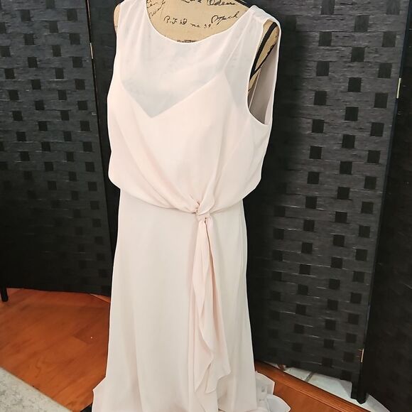 NWT Jenny Yoo Paltrow Gown Soft Blush Pink Luxe Ciffon Size 12 - Picture 5 of 14